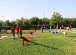 Survivor Temalı Bahçe Doğum Günü Organizasyonu Survivor Temali Bahce Dogum Günü izmir organizasyon 25 İzmir Organizasyon Survivor temalı bahçe doğum günü organizasyonu, eğlence ve rekabet dolu anların yaşandığı unutulmayacak organizasyonlardır. Farklı temalarla yapılan çocuk doğum günleri; organizasyon şirketlerinin sayısı ve imkanları arttıkça, aileler tarafından fazlasıyla tercih ediliyor. Klasik doğum günü kutlamalarından öte, hem yetişkinlerin hem de çocukların güvenli ve keyifli bir şekilde eğlenebilmesi için organizasyon şirketleri olarak bizler, sizler için her şeyi düşünüyoruz. İzmir Organizasyon, eğitimli ve tecrübeli ekibiyle tüm detaylarıyla konseptli doğum günü organizasyonlarında kendini yenilemeye devam ediyor, sizlerin isteklerine en iyi şekilde cevap vermeye çalışıyor. Survivor temalı doğum günü partileri de geliştirmeye devam ettiğimiz güzel projelerimizden biri. Doğum günü organizasyonu için belirlediğiniz lokasyonda survivor oyun parkurlarımızı eğlenceli bir gün geçirmeniz için konumlandırıyoruz. Sivil animatörlerimiz ile yarışmalar eşliğinde organizasyon süresince sizlere unutulmayacak anlar yaşatıyoruz. Survivor temalı bahçe doğum günü organizasyonu ile ilgili ayrıntılı bilgi almak için İzmir Organizasyon müşteri temsilcimize ulaşabilirsiniz. Bahçede Survivor Oyun Parkuruyla Doğum Günü Organizasyonu