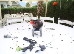 Temalı Doğum Günü Partisi