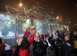 Bubble Show Balon Köpüğü Gösterisi bubble show balon kopugu gosterisi 19 İzmir Organizasyon Bubble show, bir diğer adıyla balon köpüğü gösterisi İzmir Organizasyon şirketimizin profesyonel ekibi tarafından gerçekleştirilmektedir. Hem çocukların hemde yetişkinlerin büyük bir hayranlıkla izleyeceği balon köpüğü gösterisi ile davetlilerinize eğlenceli bir gün yaşatıyoruz. Köpük balon gösterisi ile binlerce baloncuk oluşturuyor, profesyonel ekibimizle sahne gösterilerimize hız kesmeden devam ediyoruz. 15 yılı aşkın organizasyon tecrübemizle sektörde kendini kanıtlayan İzmir Organizasyon firmamız, başta İzmir olmak üzere, yakın çevresi, Ege Bölgesi ve Türkiye’nin tüm noktalarına ulaşıyoruz. Animasyon, organizasyon, ajans ve reklam, ekipman ve şişme oyuncak kiralama ve daha birçok alanda hizmet veriyoruz. Kaliteli ve son teknoloji ekipmanlarımız, profesyonel ekibimiz ve araçlarımızla istediğiniz tüm hizmetleri sizlere ulaştırıyor. Doğum günü organizasyonu, festival ve şenlik organizasyonu, AVM etkinlikleri, temalı parti organizasyonları, eğlence organizasyonu ve daha birçok organizasyonda köpük balon gösterisine yer verebilirsiniz. Bubble show – balon köpüğü gösterisi ve diğer tüm hizmetlerimiz ile ilgili bilgi almak için İzmir Organizasyon şirketimize ulaşabilirsiniz. İzmir Balon Köpüğü Gösterisi