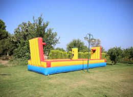 Şenlik Organizasyonu Çekme Basket Kiralama İzmir