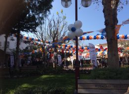 Papatya Balon Süsleme