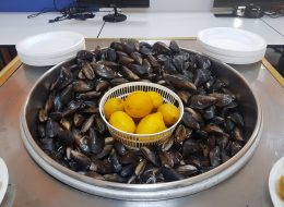 Midye Standı Kiralama