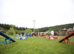 Piknik Organizasyonu piknik organizasyonu 22 İzmir Organizasyon Piknik organizasyonu, okulların, kurumların, kuruluşların ve firmaların çalışan ya da öğrenci motivasyonlarını artırmak ve adaptasyonlarını sağlamak amacıyla düzenledikleri pikniklerin, profesyonel bir organizasyon sürecine dönüştürülmesidir. Aynı zamanda, kurumların aileleriyle ortak bir etkinlik yaparak kaynaşmalarını sağlamak ve sosyal etkileşimi artırmak için de tercih edilmektedir. Özellikle bahar ve sonbahar aylarında düzenlenen piknik organizasyonları, doğanın sunduğu ferahlıkla birleşerek unutulmaz anlar yaratmaktadır. Survivor Oyunu Kiralama İzmir