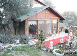 Şömine Başında Evlenme Teklifi Organizasyonu Paketi somine basinda evlenme teklifi organizasyonu paketi 2 İzmir Organizasyon Şömine başında evlenme teklifi organizasyonu ile sizler için kış mevsiminin en romantik ve sıcacık evlenme teklifi organizasyonu paketini oluşturduk. Sevdiğinizle baş başa, şömine başında, fonda en sevdiğiniz o romantik şarkı ve şöminedeki çıtırtı sesi eşliğinde şarabınızı yudumlayabilir ayrıca romantik bir akşam yemeği yiyebilirsiniz. Üstelik İzmir Organizasyon olarak, şömine başında evlenme teklifi organizasyonu için 2 seçenek sunuyoruz sizlere. Şömine başında evlilik teklifi organizasyonu için ilk teklifimiz şömine başında romantik bir akşam yemeği. Sevdiğiniz kadını bir bahane ile belirlediğimiz konuma getirebilir, romantik bir akşam yemeği sırasından ona sürpriz yapabilirsiniz. Bir diğer seçeneğimiz ise şömineli bir evde yeşillikler içinde akşam yemeği ve konaklama dahil birçok şey. Sevdiğiniz kadına dışarıda yemek yemek istediğinizi söyleyerek onu belirlediğimiz noktaya getirebilirsiniz. Bu sırada İzmir Organizasyon firmamızın profesyonel çalışanları sizin için tüm hazırlıkları tamamlamış alanda gelmenizi bekliyor olacak. Sizlere ise bu güzel anın tadını çıkarmak ve romantik bir akşam geçirmek kalıyor. Şömine Başında Evlenme Teklifi Organizasyonu Paketi somine basinda evlenme teklifi organizasyonu paketi 2 İzmir Organizasyon